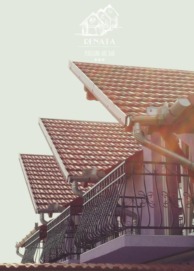 Pensiunea Renata Boghis ภายนอก รูปภาพ